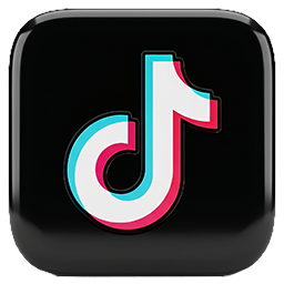 tiktok | Webnic